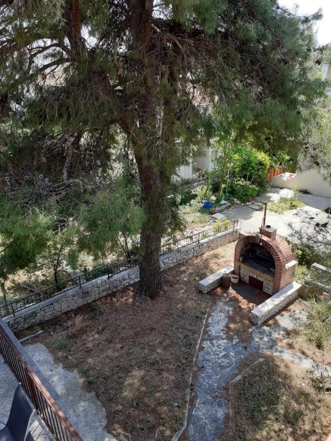 Pine Tree Apartment Vodice Zewnętrze zdjęcie